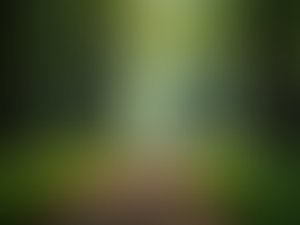 The True Measure of Progress is Knowing Where You're Going, Not Just How Fast You Travel