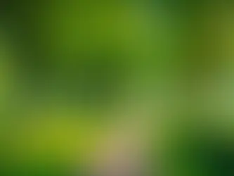 How Can Your Words Define Your Relationships and Self-Reflection? Exploring the Power of Communication