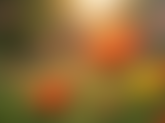 Unleash Your Potential: Overcome Limiting Stories and Embrace Gratitude for Change