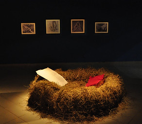 transmudacao vernissage- angelica lima (