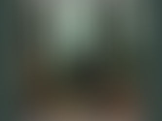 Sortie de la semaine : Sanctum (Interloper)