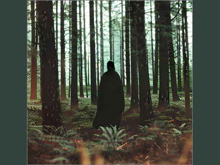 Sortie de la semaine : Sanctum (Interloper)