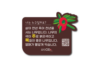 재미있는 식물이름표