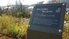 식물이름표 QR코드