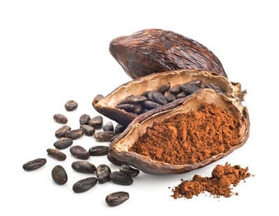Cocoa Powder in skincare use