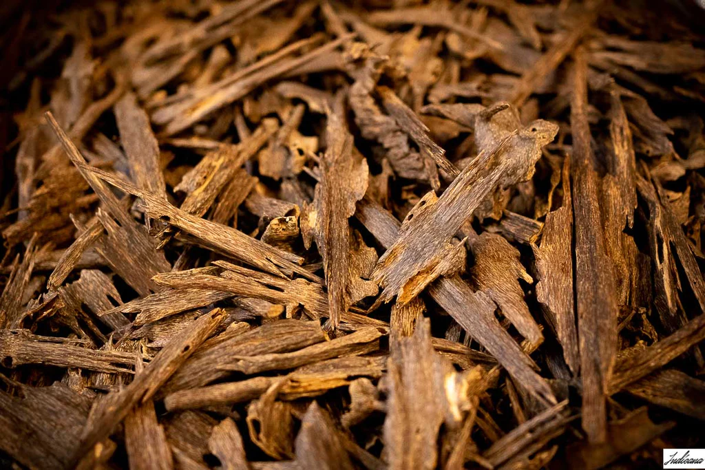 Oud_Chips_Tripura_1024x1024.jpg.webp