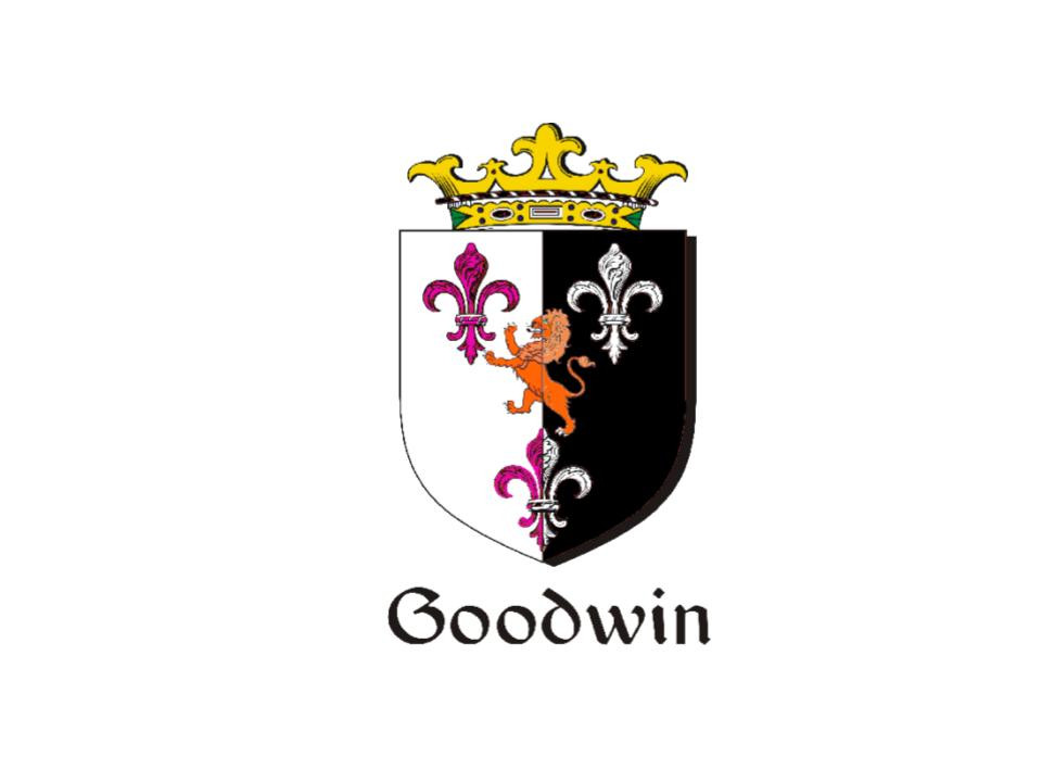 Goodwin Academy of Irish Dance