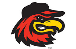 Nike Baseball Camp at the Home of Rochester Red Wings logo or camp photo