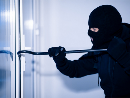 Exploring Perimeter Protection for Enhanced Security