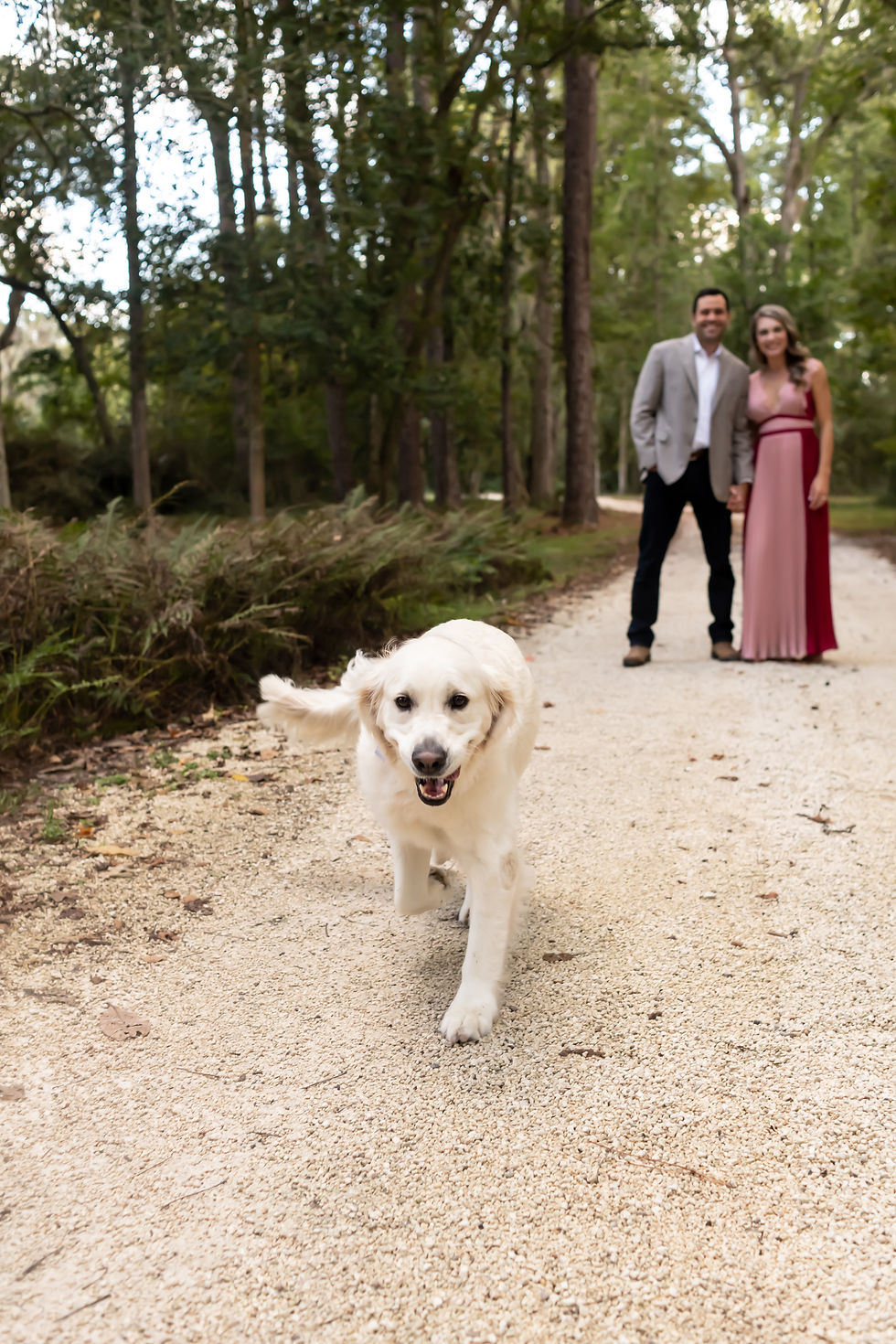 Amanda & Devin's engagement session at HollyOaks on the Marsh in Savannah, Georgia.