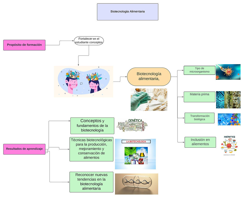 Diagrama en blanco.jpeg