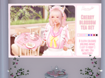 Snapshot_001.png