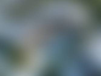 Modern House with solar panels