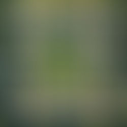 Los pasos para hacer un pequeño desarrollo inmobiliario