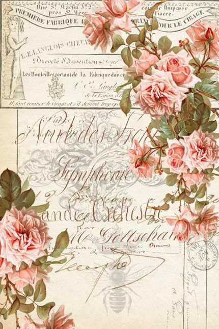 Vintage paper with pink roses, elegant script, 'Auk des Arch' text.