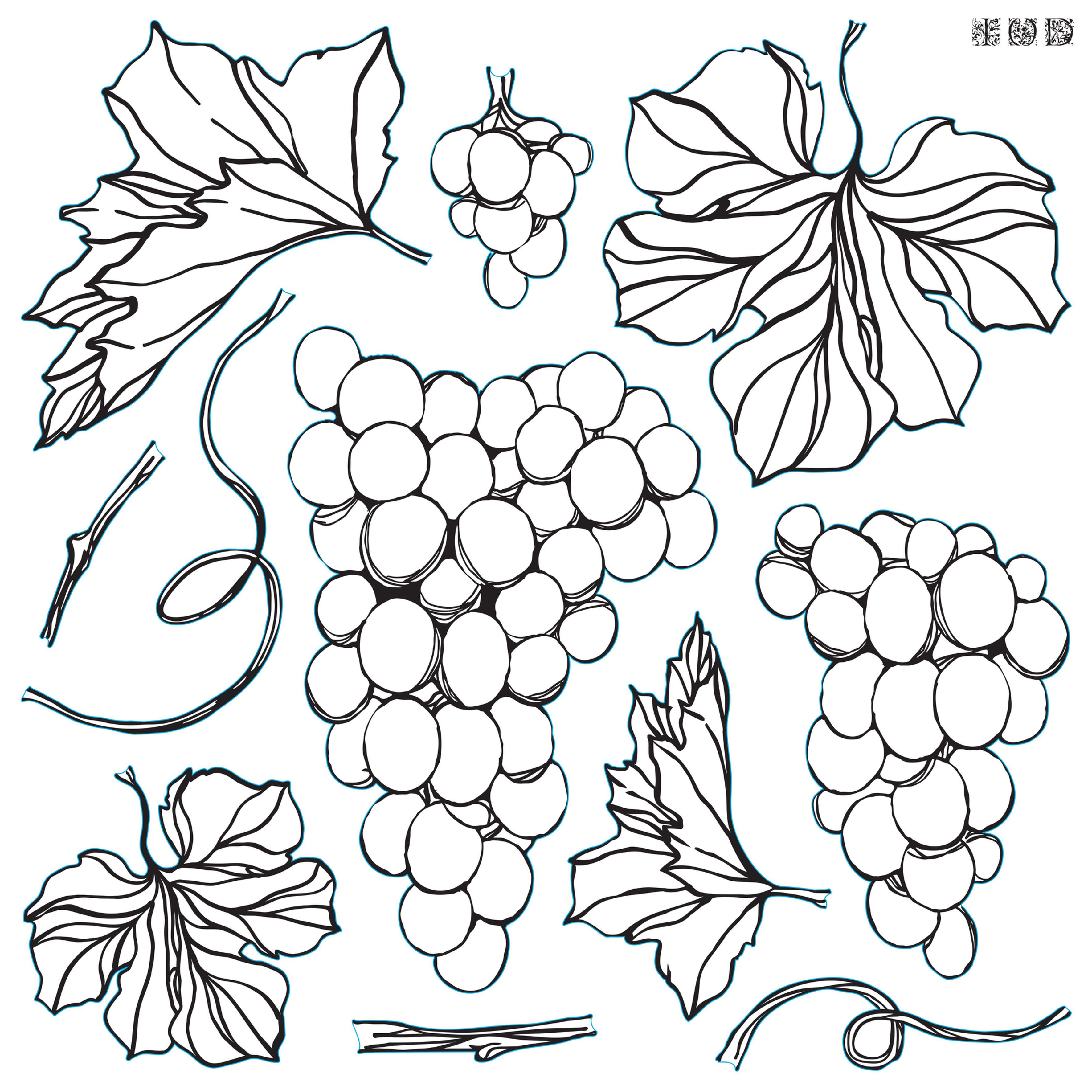 Black and white line art of grape clusters, leaves, and vines, '描图器'.