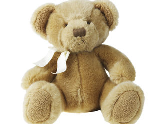 „ŚWIĘTO PLUSZOWEGO MISIA”