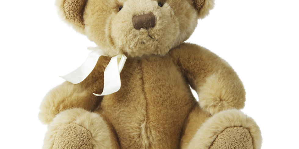 Teddy Bear Project