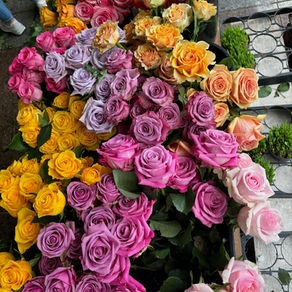 Northern France - The Duality of Beauty and Pain