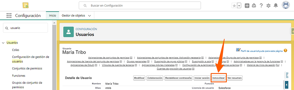 Cuándo inmovilizar un usuario en Salesforece