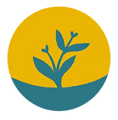 Inserted-Image (1).png