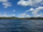 IMG_1411.jpeg