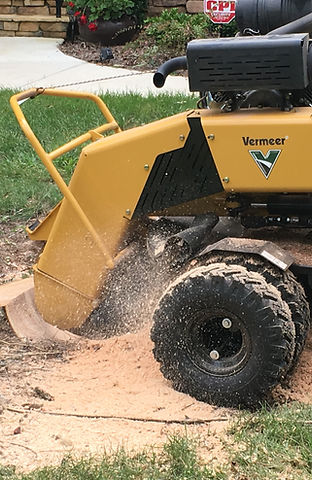 Complete Tree and Stump Removal in Matthews NC