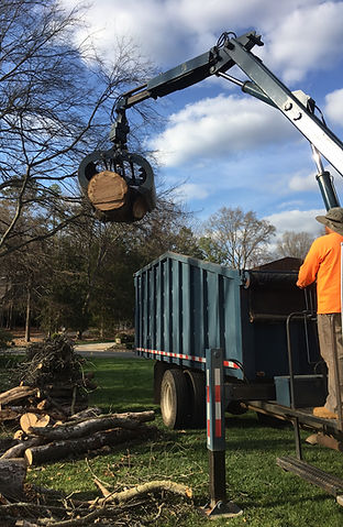 Tree Service Near Waxhaw
