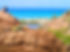 Desert & Coastal Ecology