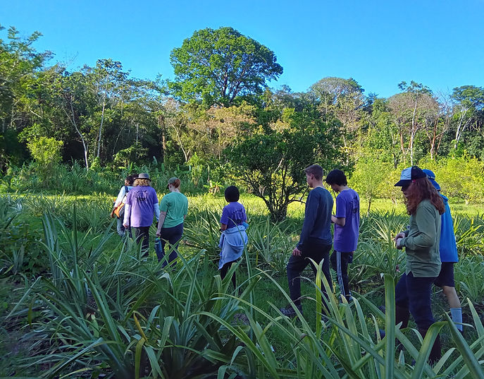 Belize Tropical Ecology Educational Travel Belize Tropical Ecology Educational Travel