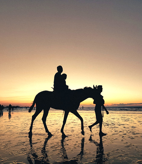 Horses Beach Sunset_edited.jpg