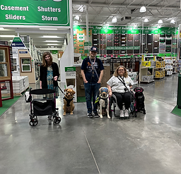Service Dogs Zeus, Yoda, & Belle
