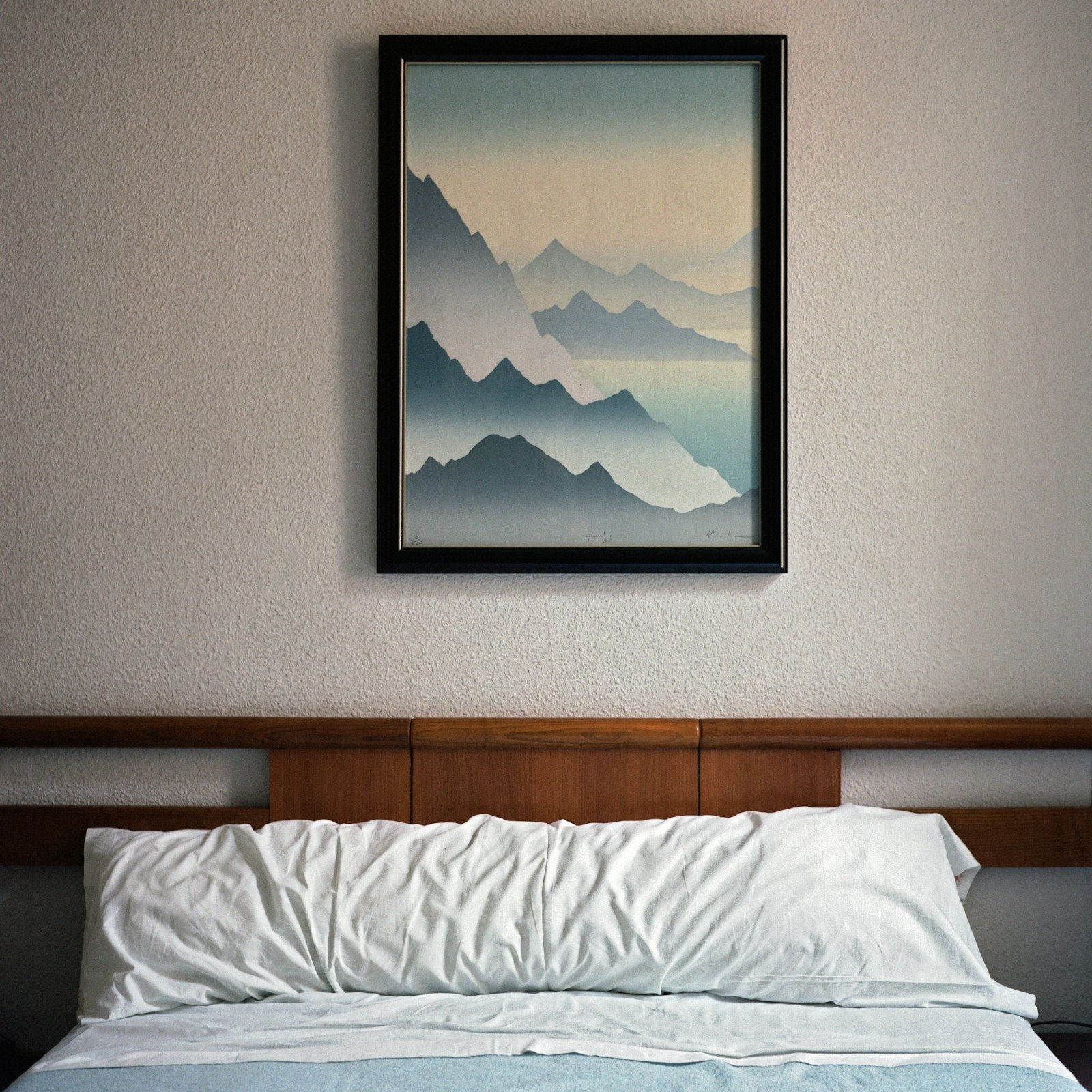 Metal Print