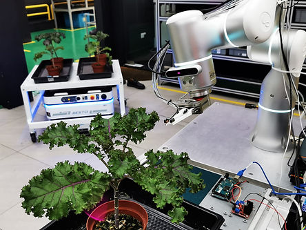 Robotic Harvesting System.jpeg