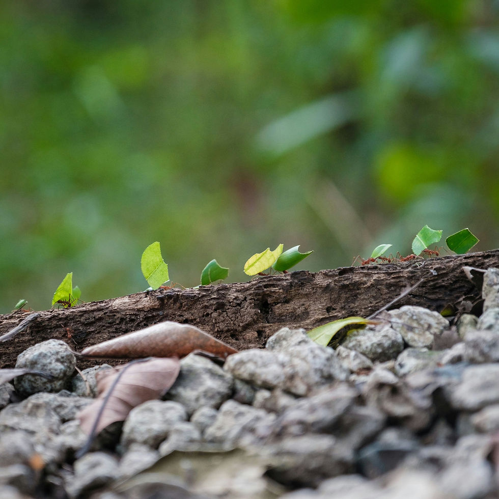 Photo by Christian Holzinger on Unsplash