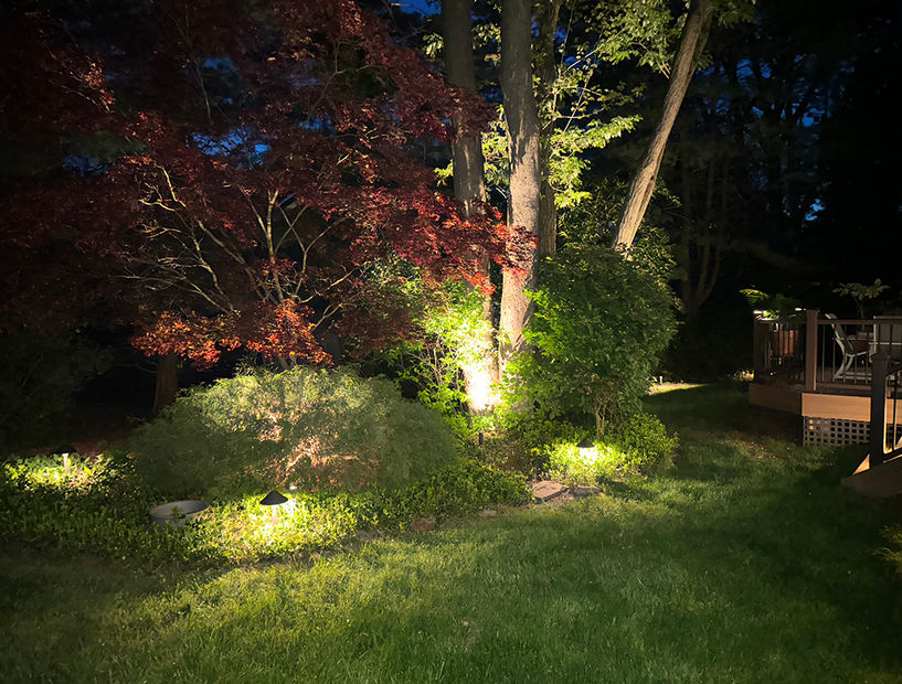 Residential Landscape Lighting