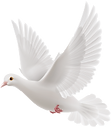 Dove.png