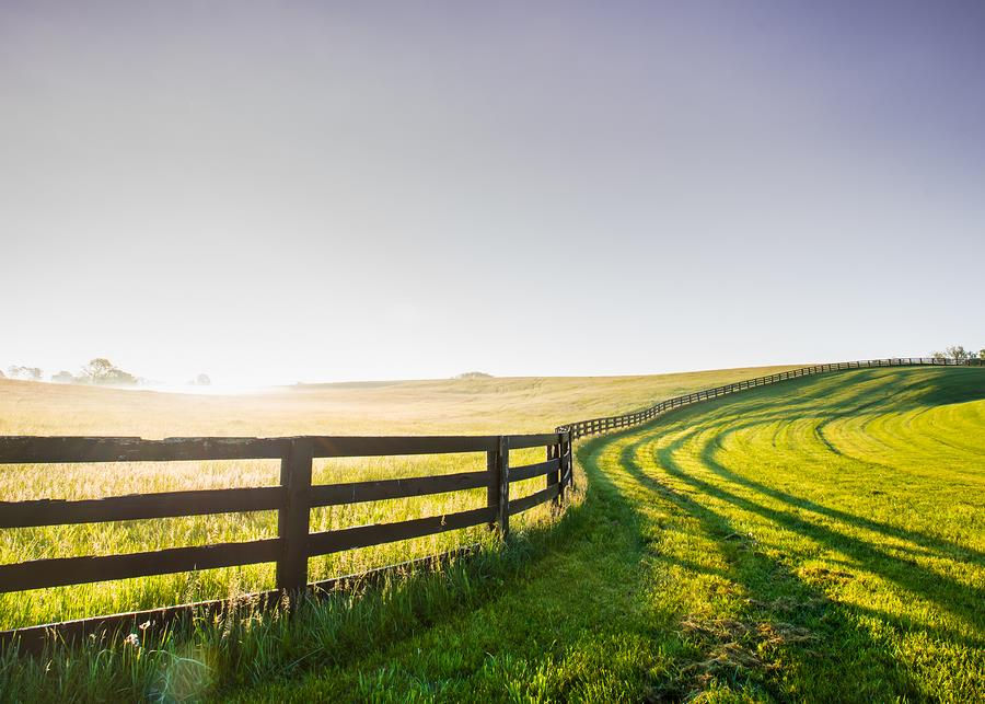Bluegrass Fence.jpg