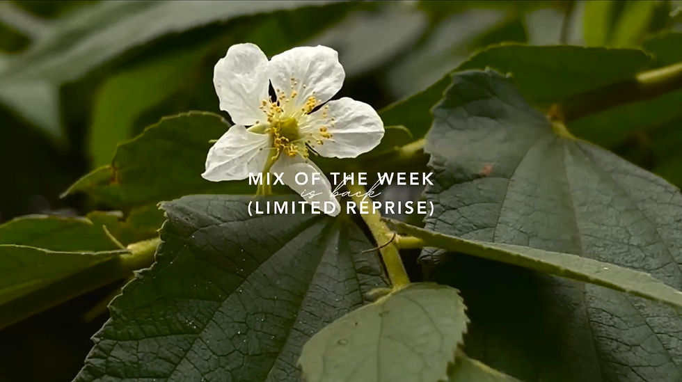 Mix of the Week (Limited Reprise)