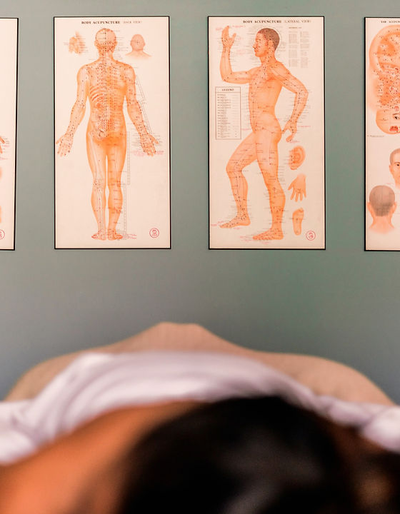 massage-reference-charts-art_edited.jpg