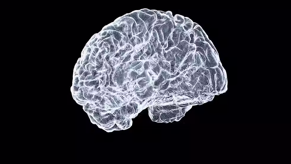art of perception meaning