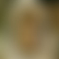 Encaustic Painting Revealed: Is It Difficult for Beginners to Learn?