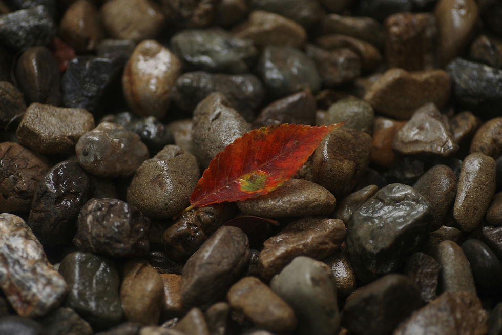 art of imperfection wabi sabi