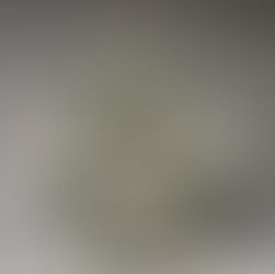 Monstrous Beauty: A Feminist Exhibition of Chinoiserie at The Met