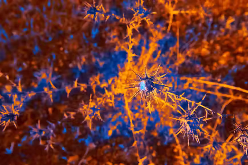 visual perception and art