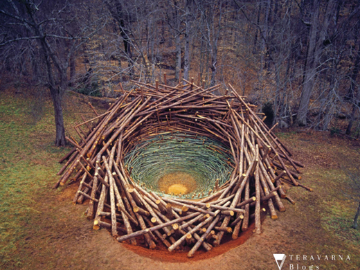 Beyond the Canvas: What’s the Buzz around Environmental Art & Installations