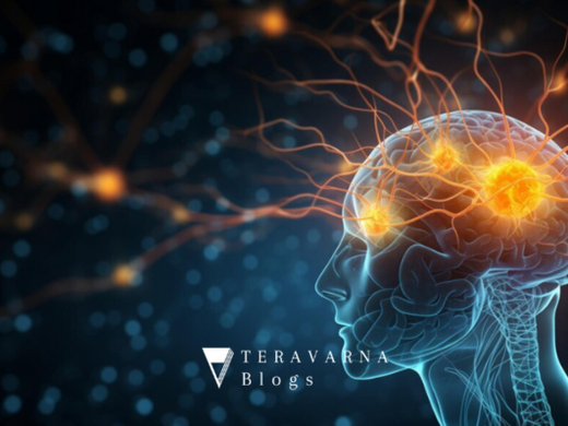 It's fascinating to know what goes inside our art-loving brain ...