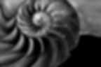 positive and negative space examples still life black and white