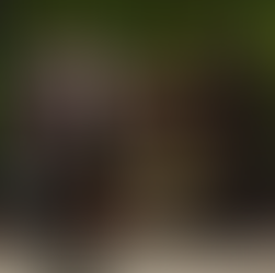 Decode the secret and hidden messages in paintings of the legends