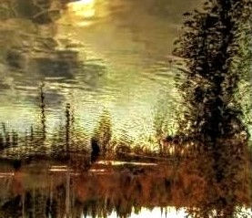 Reflection  | Color Photography | USA